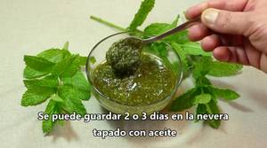 Receta de Pesto de Menta: Fresco y Delicioso