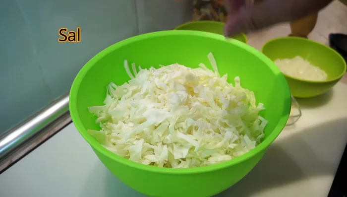 Añadir sal y pimienta negra molida al repollo al gusto y mezclar bien.