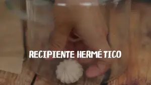 Receta Fácil de Merenguitos Cubanos: ¡Crujientes y Deliciosos!