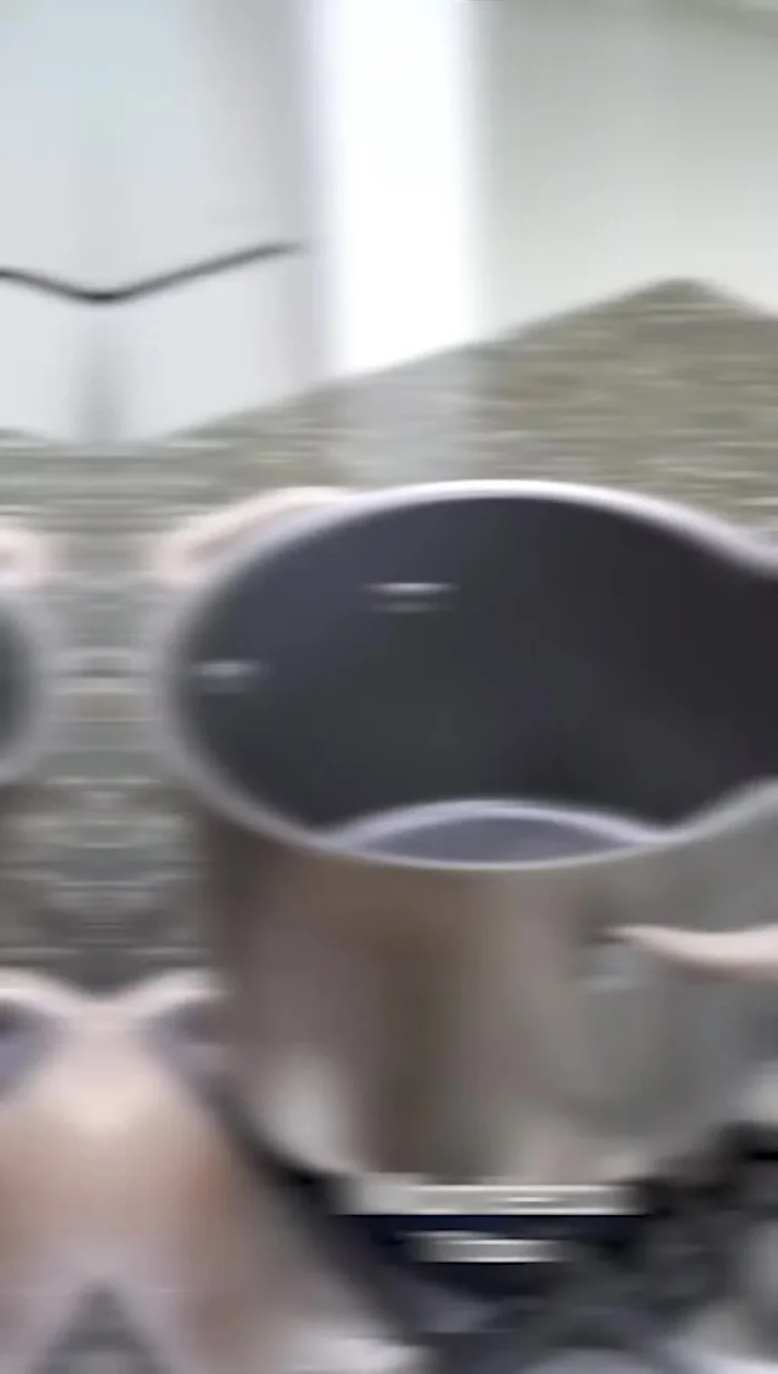 En una olla grande, derretir una taza de manteca de cerdo a fuego alto.