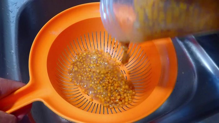 Aclarar las lentejas de bote bajo el grifo hasta que queden sueltas. Escurrir y reservar en un plato tapado con papel film en la nevera. (12.42)