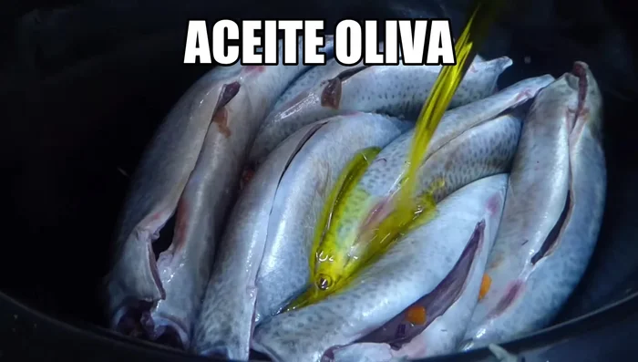 Añadir las caballas a la olla lenta, con la tripa hacia afuera. Cubrir con aceite de oliva.