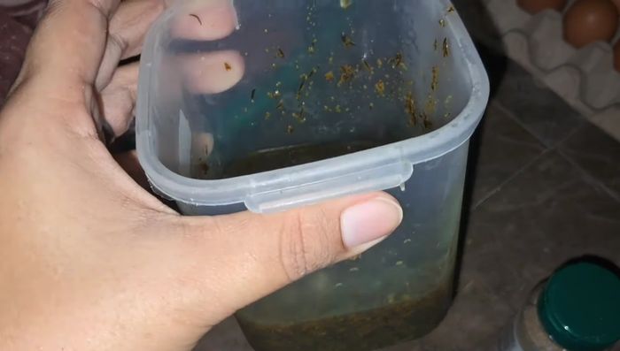 Incorpora una pizca del adobo para realzar el sabor, sin sobrecargarlo. (119.52)