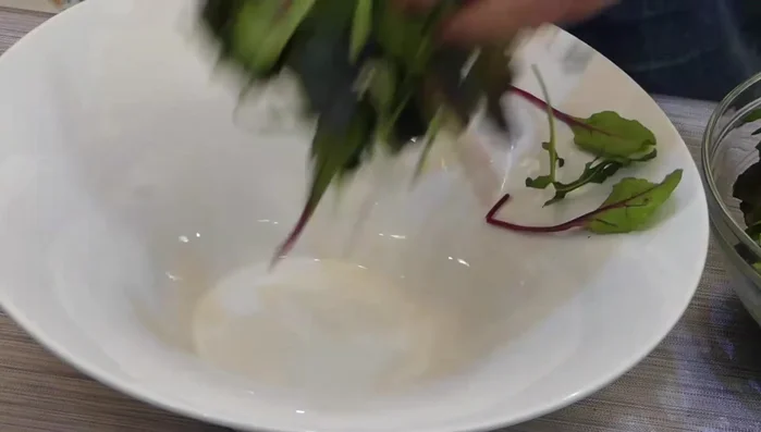 En una ensaladera, mezclar los brotes tiernos, escarola, lechuga y rúcula. Agregar la vinagreta y un poco de sal.