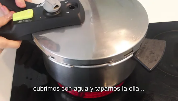 Cubrir con agua, tapar la olla y dejar cocer a fuego lento durante 30 minutos aproximadamente.