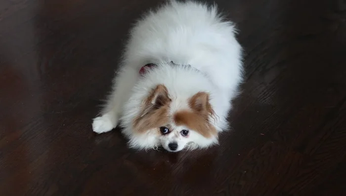 Precalentar el horno a 200°C (400°F). [74.88]