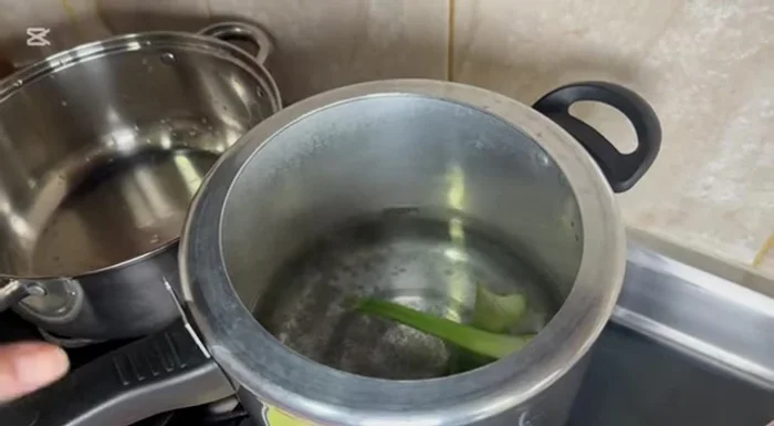 En una olla con agua caliente, agregar 2-3 ramitas de apio y la sal al gusto (aprox. 3 medidas).