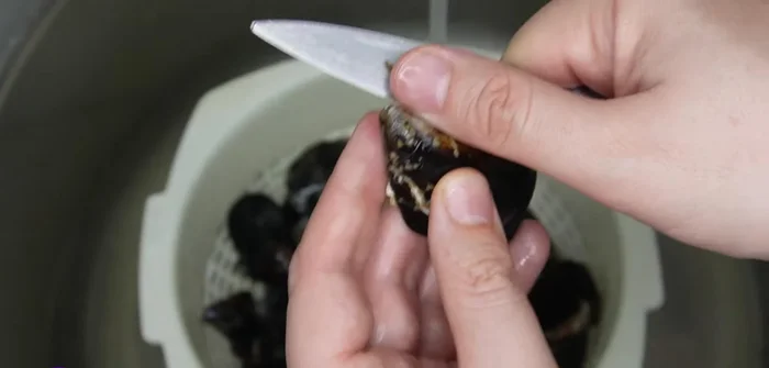 Limpiar los mejillones con un cuchillo y agua, quitando las barbas y la suciedad. Utilizar un estropajo metálico para facilitar la limpieza.