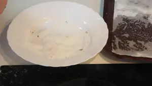 Receta de Orejas de Carnaval: Crujientes y Deliciosas