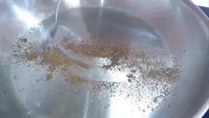 Salchichas con Salsa Agridulce de Arándanos: Receta Fácil