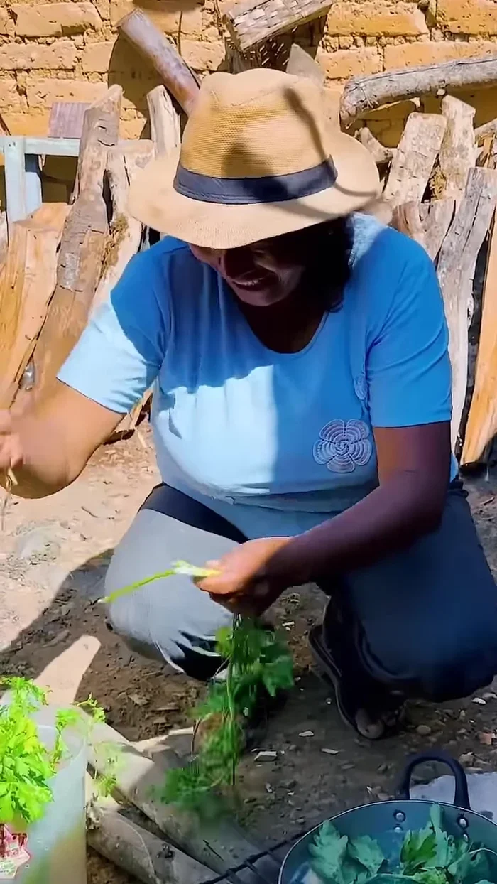 Agregar cebolla picada finamente a la olla. [56.16]