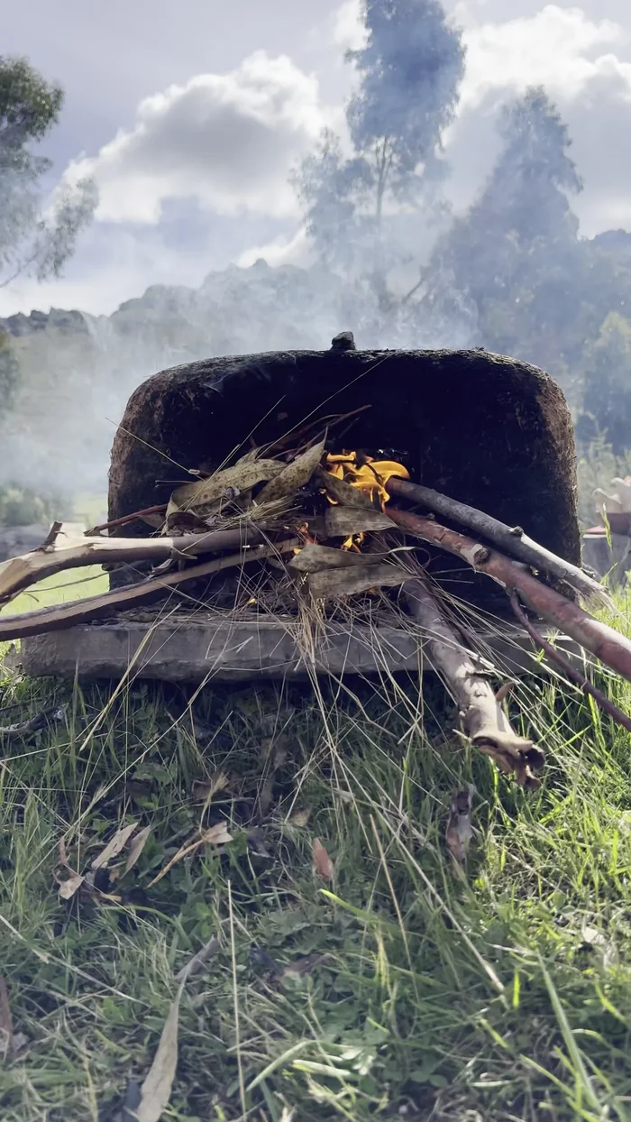 Cocer las cabezas: En una olla grande, colocar las cabezas de cordero, agregar abundante agua, y llevar a ebullición. [29.439]