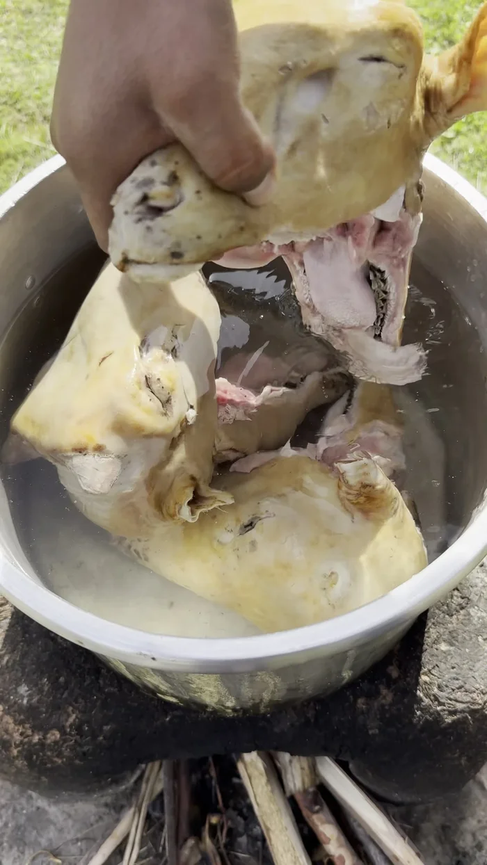 Preparar los vegetales: Pelar y picar las zanahorias en gajos. Partir el poro en cuatro. Picar el apio. Limpiar y picar los dientes de ajo. Lavar muy bien todos los vegetales. [41.32]