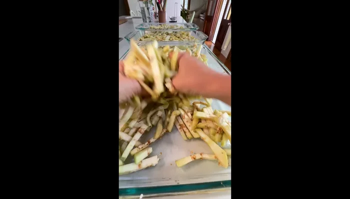 Colocar las berenjenas en una fuente con sal gruesa y vinagre. Remover bien y colocar un peso encima. Dejar reposar hasta el día siguiente.