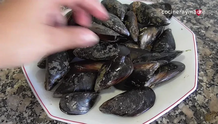 Limpiar los mejillones, quitándoles las barbas. Añadirlos a la cazuela con vino blanco y dejar hasta que se abran (aproximadamente 3 minutos). Reservar el caldo colado y los mejillones.