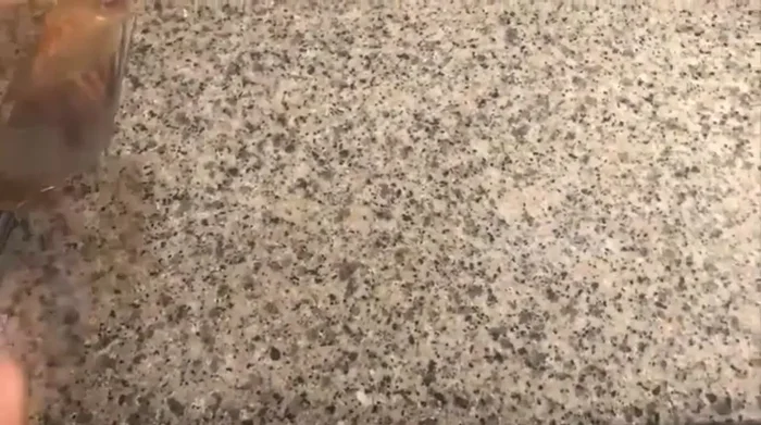 Sacar del horno, emplatar y acompañar con una ensalada.