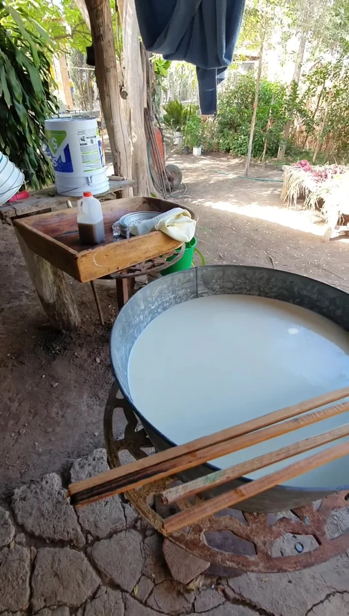 Agregar el cuajo de res a la leche desnatada en tres tandas: una taza, otra taza y una última taza con menor cantidad.