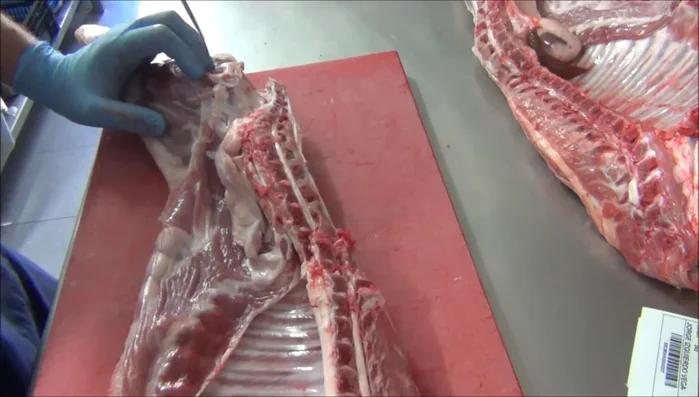 Deshuesar el cordero, separando las piernas, paletillas y costillar. (115.84)