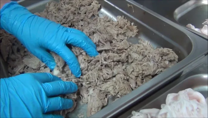Desmigar la carne cocida, sazonar con sal, pimienta y su propio jugo. (200.599)