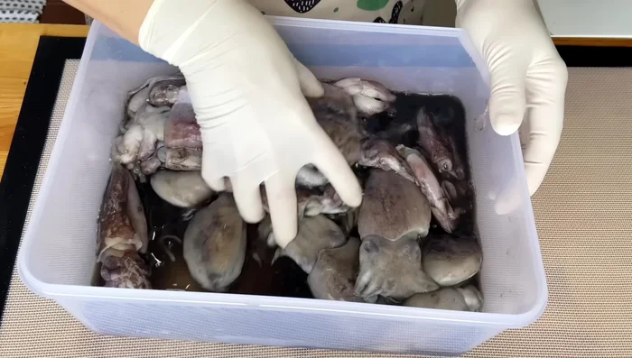 Limpiar las sepias: Retirar el pico, los ojos y la bolsa de tinta. Hacerlo bajo el agua para evitar que la tinta salpique.