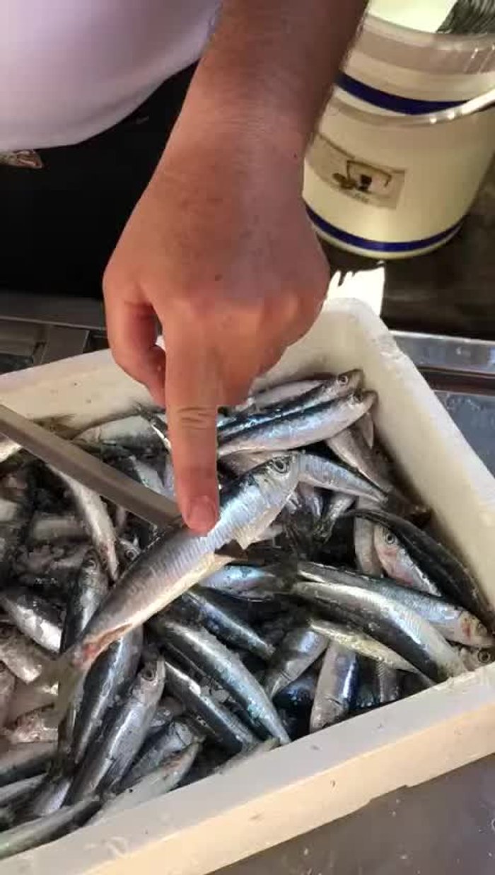 Es importante que todas las sardinas estén ensartadas de la misma manera, con las espinas hacia arriba y la varilla por debajo. Esto facilita el volteado durante la cocción.
