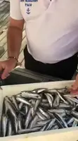 Espeto de Sardinas: Receta paso a paso desde la playa