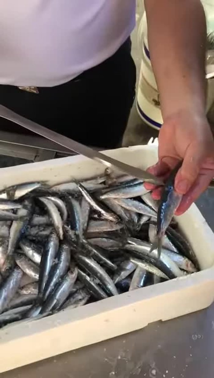 Pinchamos la sardina con la varilla, asegurándonos de que la varilla pase por debajo de las espinas de la sardina. Las espinas deben quedar hacia arriba.