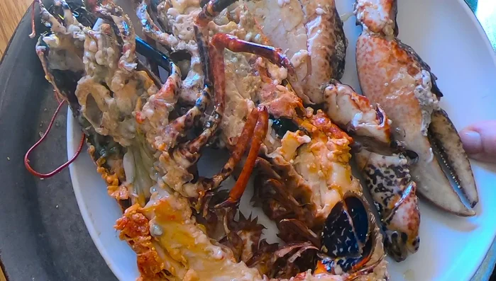 Colocar el bogavante en la paella, cáscara abajo y carne arriba, durante 30 segundos. Voltear y cocinar otros 30 segundos. Reservar en un plato.