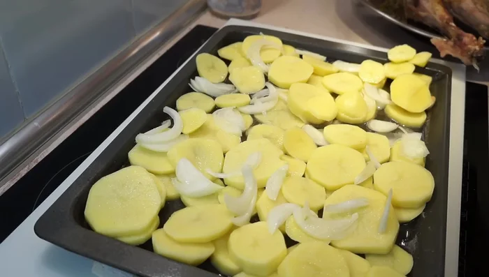 Añadir las patatas a la bandeja, sazonar con sal y colocar la paletilla y la pierna sobre las patatas. Hornear la paletilla por 40 minutos adicionales (total 1h 20min) y la pierna por 60 minutos adicionales (total 1h 40min).