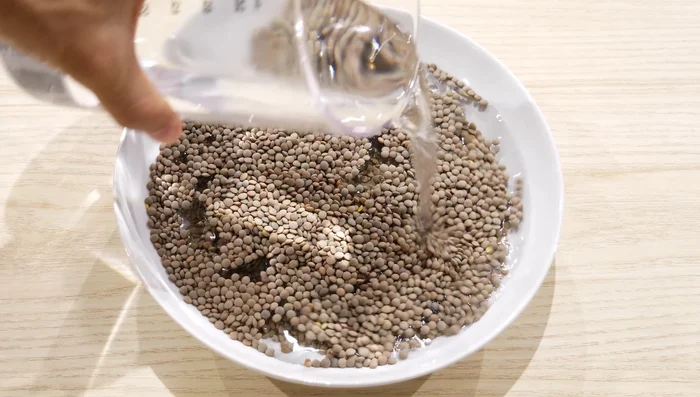 Hidratar las lentejas durante unas horas (opcional, pero recomendado para que queden más blandas). [34.84]